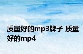 质量好的mp3牌子 质量好的mp4 