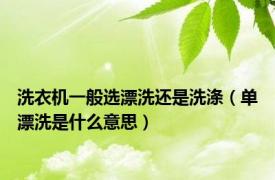 洗衣机一般选漂洗还是洗涤（单漂洗是什么意思）