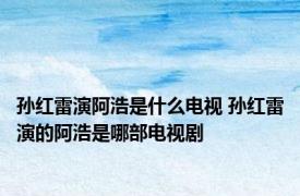 孙红雷演阿浩是什么电视 孙红雷演的阿浩是哪部电视剧