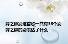 薛之谦别这首歌一共有38个别 薛之谦的别表达了什么