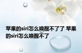 苹果的siri怎么唤醒不了了 苹果的siri怎么唤醒不了