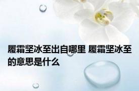 履霜坚冰至出自哪里 履霜坚冰至的意思是什么