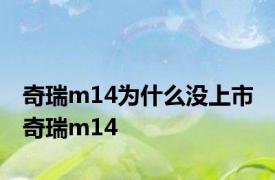 奇瑞m14为什么没上市 奇瑞m14 