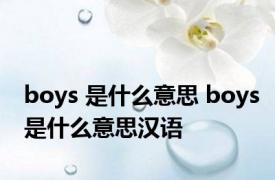 boys 是什么意思 boys是什么意思汉语