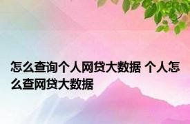 怎么查询个人网贷大数据 个人怎么查网贷大数据