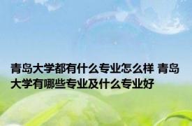 青岛大学都有什么专业怎么样 青岛大学有哪些专业及什么专业好