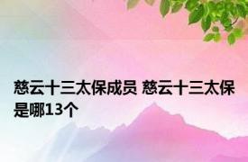 慈云十三太保成员 慈云十三太保是哪13个