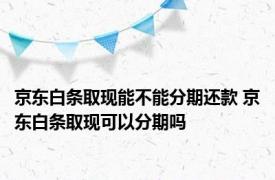 京东白条取现能不能分期还款 京东白条取现可以分期吗