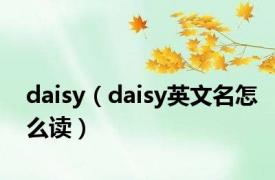 daisy（daisy英文名怎么读）