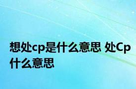 想处cp是什么意思 处Cp什么意思