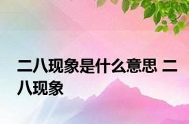 二八现象是什么意思 二八现象 