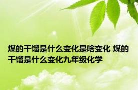 煤的干馏是什么变化是啥变化 煤的干馏是什么变化九年级化学