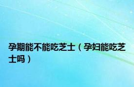 孕期能不能吃芝士（孕妇能吃芝士吗）