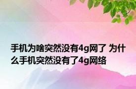 手机为啥突然没有4g网了 为什么手机突然没有了4g网络