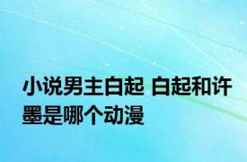 小说男主白起 白起和许墨是哪个动漫