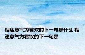 相逢意气为君欢的下一句是什么 相逢意气为君饮的下一句是