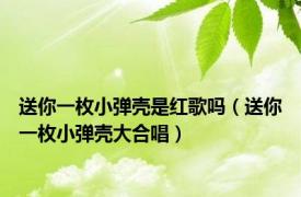 送你一枚小弹壳是红歌吗（送你一枚小弹壳大合唱）