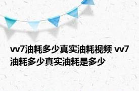 vv7油耗多少真实油耗视频 vv7油耗多少真实油耗是多少