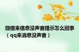 微信来信息没声音提示怎么回事（qq来消息没声音）