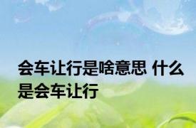 会车让行是啥意思 什么是会车让行