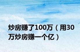 炒房赚了100万（用30万炒房赚一个亿）