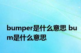 bumper是什么意思 bum是什么意思