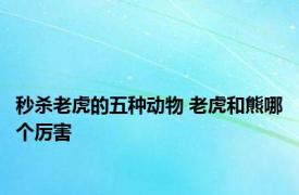 秒杀老虎的五种动物 老虎和熊哪个厉害