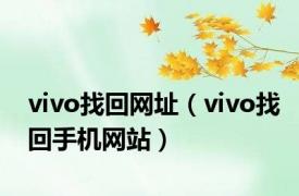 vivo找回网址（vivo找回手机网站）