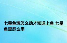 七星鱼漂怎么动才知道上鱼 七星鱼漂怎么用