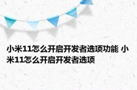 小米11怎么开启开发者选项功能 小米11怎么开启开发者选项