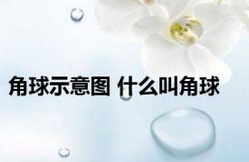 角球示意图 什么叫角球