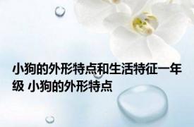 小狗的外形特点和生活特征一年级 小狗的外形特点