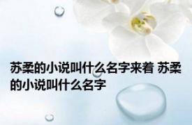 苏柔的小说叫什么名字来着 苏柔的小说叫什么名字