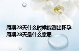 周期28天什么时候能测出怀孕 周期28天是什么意思