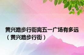 黄兴路步行街离五一广场有多远（黄兴路步行街）