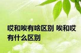 哎和唉有啥区别 唉和哎有什么区别