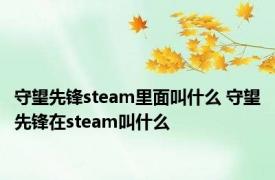 守望先锋steam里面叫什么 守望先锋在steam叫什么