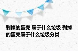 剥掉的蛋壳 属于什么垃圾 剥掉的蛋壳属于什么垃圾分类