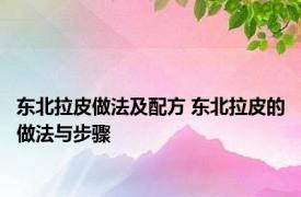 东北拉皮做法及配方 东北拉皮的做法与步骤