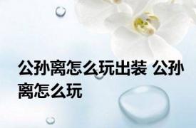 公孙离怎么玩出装 公孙离怎么玩