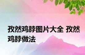 孜然鸡脖图片大全 孜然鸡脖做法