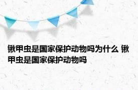 锹甲虫是国家保护动物吗为什么 锹甲虫是国家保护动物吗