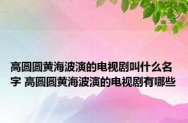 高圆圆黄海波演的电视剧叫什么名字 高圆圆黄海波演的电视剧有哪些