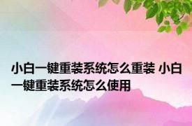 小白一键重装系统怎么重装 小白一键重装系统怎么使用