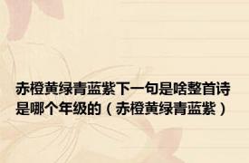 赤橙黄绿青蓝紫下一句是啥整首诗是哪个年级的（赤橙黄绿青蓝紫）