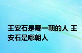 王安石是哪一朝的人 王安石是哪朝人