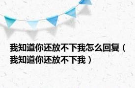 我知道你还放不下我怎么回复（我知道你还放不下我）