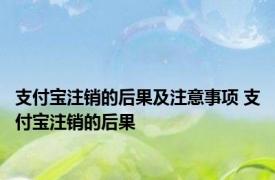 支付宝注销的后果及注意事项 支付宝注销的后果