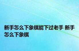 新手怎么下象棋能下过老手 新手怎么下象棋