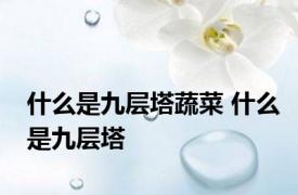 什么是九层塔蔬菜 什么是九层塔